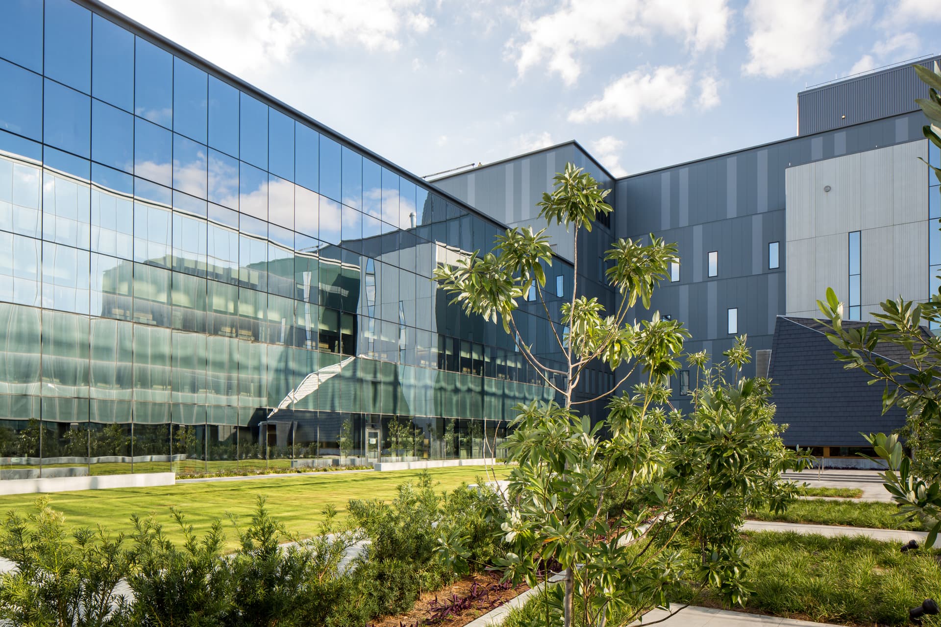 LA, NBBJ, NOVA, New Orleans, New Orleans Veterans Administration, healthcare, scouting